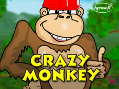 Casino monkey 202378